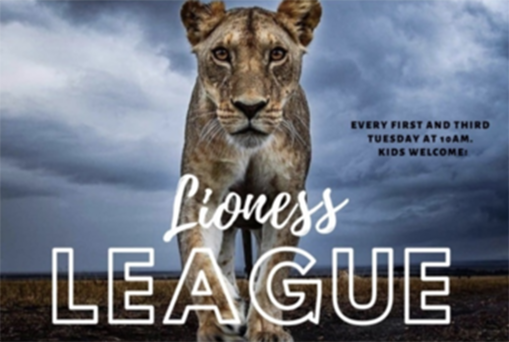 lioness league